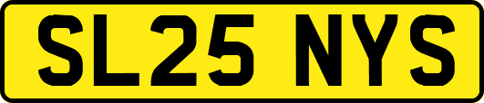 SL25NYS