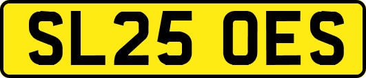 SL25OES