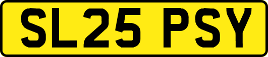SL25PSY
