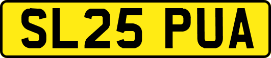 SL25PUA