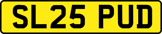 SL25PUD