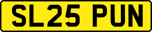 SL25PUN