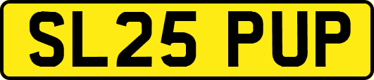 SL25PUP