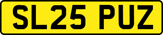 SL25PUZ