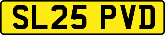 SL25PVD