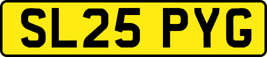 SL25PYG