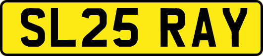 SL25RAY