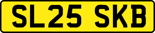SL25SKB