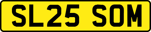SL25SOM
