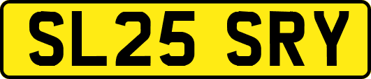SL25SRY