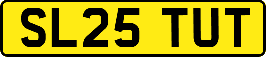 SL25TUT