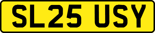 SL25USY