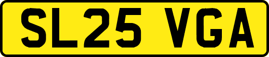 SL25VGA