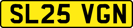 SL25VGN
