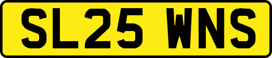 SL25WNS