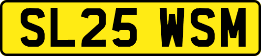SL25WSM