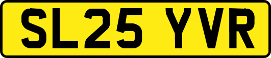 SL25YVR
