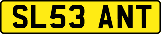 SL53ANT