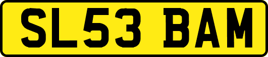 SL53BAM