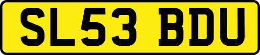 SL53BDU