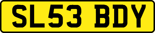 SL53BDY