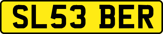 SL53BER