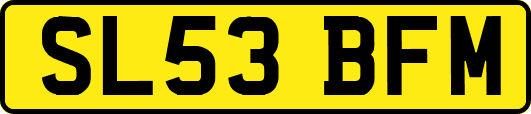 SL53BFM