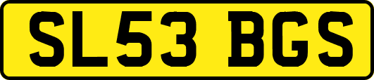 SL53BGS