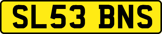 SL53BNS