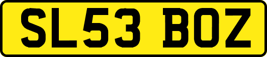 SL53BOZ