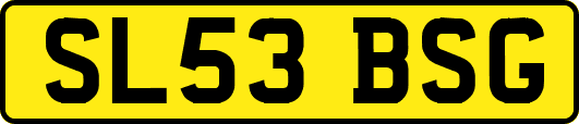 SL53BSG