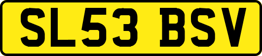 SL53BSV