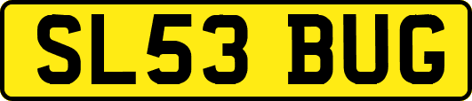 SL53BUG