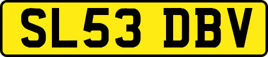 SL53DBV
