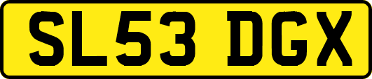 SL53DGX