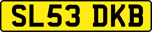 SL53DKB