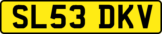 SL53DKV