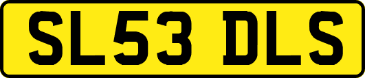 SL53DLS