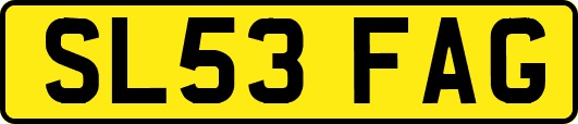 SL53FAG