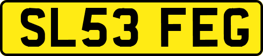 SL53FEG