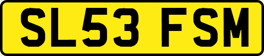 SL53FSM