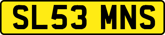 SL53MNS