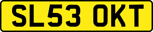 SL53OKT