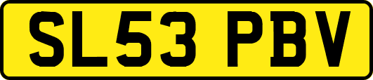 SL53PBV