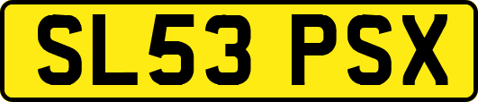 SL53PSX