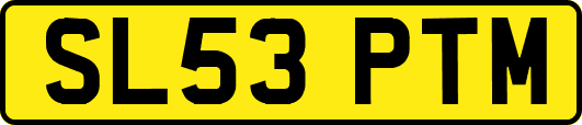 SL53PTM