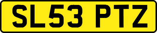 SL53PTZ