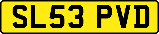 SL53PVD