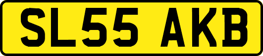 SL55AKB