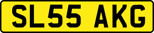 SL55AKG